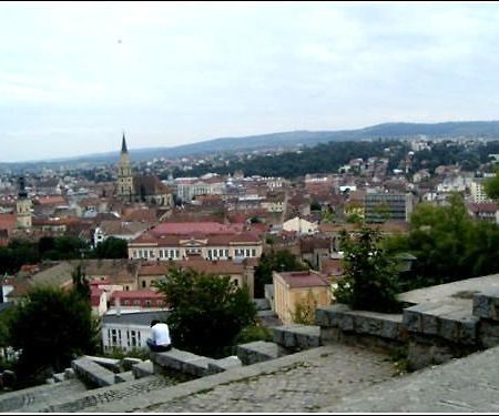 Vila Casa Alesiv Cluj-Napoca Exterior photo